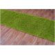 Alfombra de pasillo SHAGGY 5 cm verde