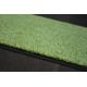 Doormat CLEAN green