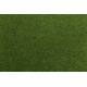 ARTIFICIAL GRASS ELIT any size
