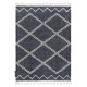 Carpet BERBER ASILA B5970 grey / white Fringe Berber Moroccan shaggy