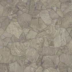 Vinyl flooring PCV BONUS 409-06