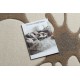 Kilimas FEEL 1602/15055 sraigės smėlio spalvos / pilka