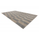 Carpet SISAL FORT 36211382 blue / beige dashes stripes