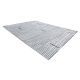 Tæppe Strukturelle SIERRA G5018 Fladt vævet, to niveauer af fleece grå - strimler, rhomber