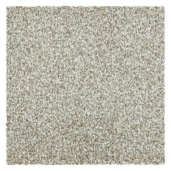 Moquette EVOLVE 039 beige