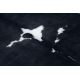 Χαλί Τεχνητό δέρμα αγελάδας, Αγελάδα G5070-3 μαύρο λευκό Δέρμα