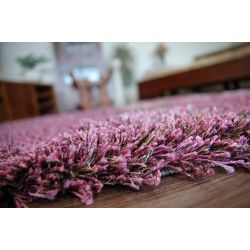 Carpet SHAGGY RUBBY design 66001/120