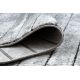 Moderne teppe COZY 8654 Flåte, Linjer - strukturell to nivåer av fleece grå