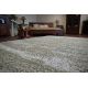 Carpet SHAGGY RUBBY design 66001/267