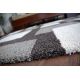 Carpet SHAGGY PEARL design 7224/031