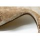 Okrúhly prateľný koberec LAPIN shaggy protišmykový , slonová kosť / hnedá