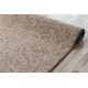 Carpet, wall-to-wall, CASABLANCA beige