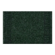 Doormat PRIMAVERA green 6651