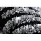 Χαλί MAROC G8499 μαύρο / λευκό Φράντζα Βερβερικές Μαροκινό δασύτριχος