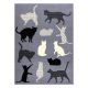Alfombra BCF FLASH Cats 3996 - Gatos, gatitos gris