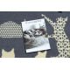 Alfombra BCF FLASH Cats 3996 - Gatos, gatitos gris