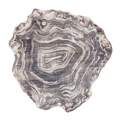 Alfombra TINE 75426B Árbol Madera - moderno, forma irregular crema / gris