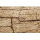 Kilimas SILVER TRONKO Medžio kamienas mediena - graikinis riešutas 
