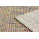 Modern FISY carpet SISAL 20789 melange, rainbow