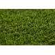 Covor SOFTY culoare, solidă crem