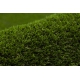 Covor SOFTY culoare, solidă crem