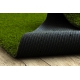 Covor SOFTY culoare, solidă crem