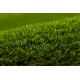 ARTIFICIAL GRASS ETILE any size