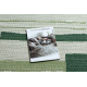 Carpet COLOR 19676362 SISAL lines beige / green