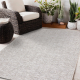 Carpet COLOR 47373560 SISAL labyrinth beige