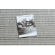 Carpet SPRING 20411332 lines, frame sisal, looped - grey