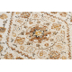 Carpet COLOR 19521460 SISAL ornament, frame, cinnamon - beige