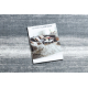 Tapis ARGENT - W9557 Cadre, vintage, lignes gris