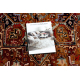 Tappeto KESHAN frange, Ornamento orientale 2886/53588 chiaretto 
