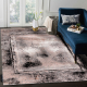 Moderný koberec DE LUXE 634 Rám vintage - Štrukturálny sivá / ružový