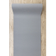 SPLENDIDA espuma para alfombras 300ml