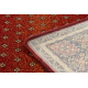 Wool carpet POLONIA BARON burgundy