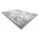 Modern COZY szőnyeg Tico, Geometriai - Structural két szintű gyapjú szürke