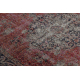 Σύγχρονο χαλί MUNDO E0691 στολίδι, εκλεκτό outdoor κόκκινο / μπεζ