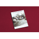Doormat BH 806 Stones, antislip, outdoor, indoor, gum - silver
