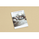 Doormat BH 206 greek key, antislip, outdoor, indoor, gum - brown