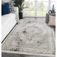 Moderní koberec TULS strukturální, střapce 51321 Vintage, rámu, růžice béžový / šedá 