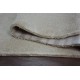 Alfombra ETON PLUS color crema, monocromática, uniforme, lisa