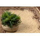 BCF Tapis Morad KRZYŚ fleurs - marron