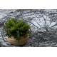 BCF Tapis Morad PIEŃ Arbre Bois - gris