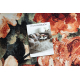 Dywan ANTIKA 24 tek, nowoczesny liście, kwiaty do prania - terakota