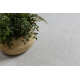 Carpet CASABLANCA LOOP light grey loop, soft