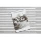Teppe LIRA E2681 Stripes, strukturert, moderne, glamorøst - grått