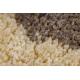 Kilimas SAMPLE MICRO SHAGGY 171321 smėlio spalvos / rudas
