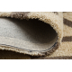 Paklājs SAMPLE MICRO SHAGGY 171321 bēšs / brūna