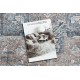 Тепих SAMPLE Century M101A Орнамент vintage - слоноваче / Плави